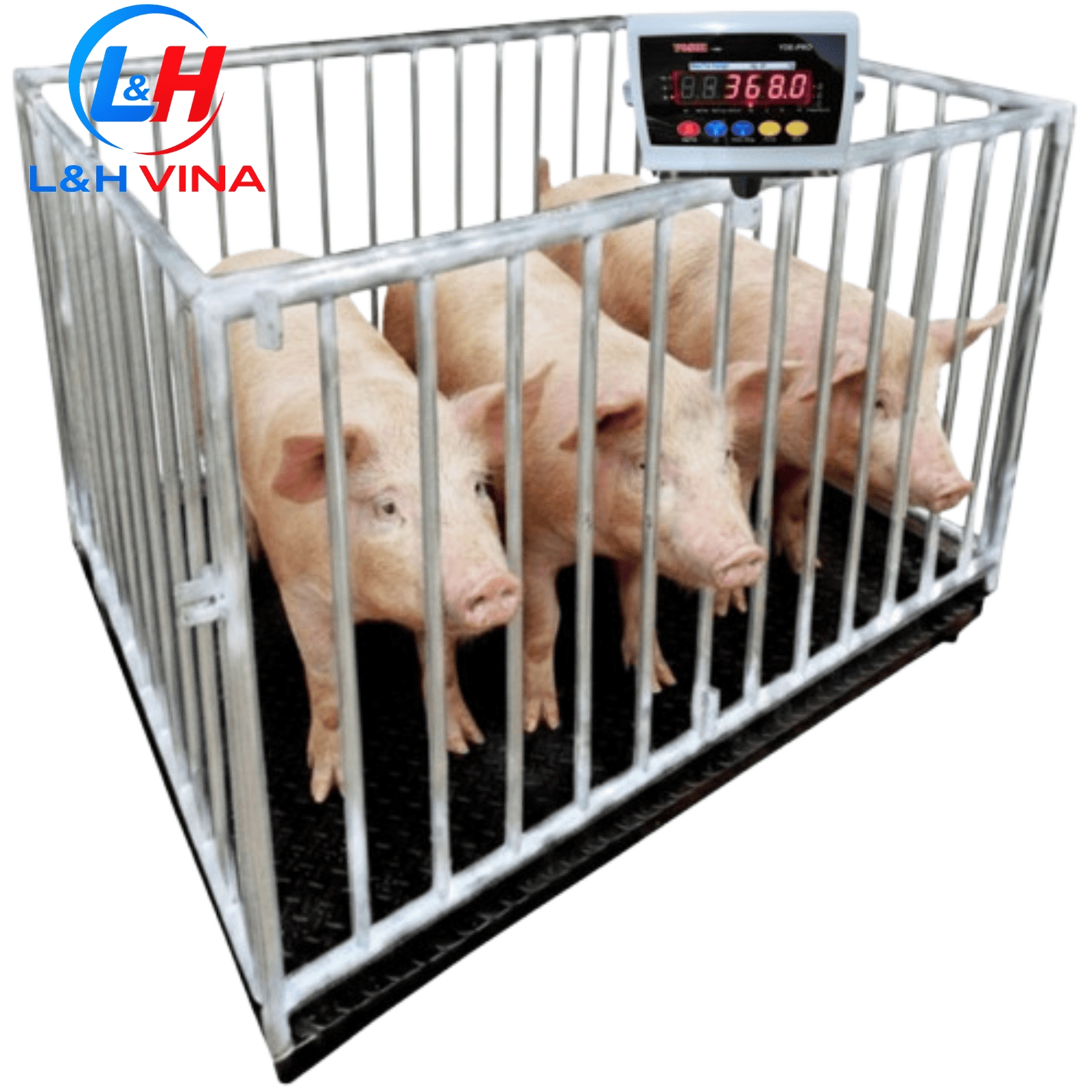 CÂN LỢN NHIỀU CON YDE-PRO