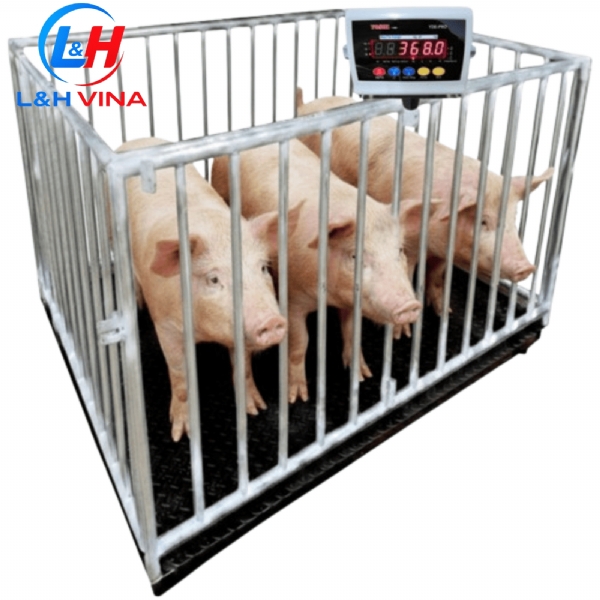 CÂN LỢN NHIỀU CON YDE-PRO
