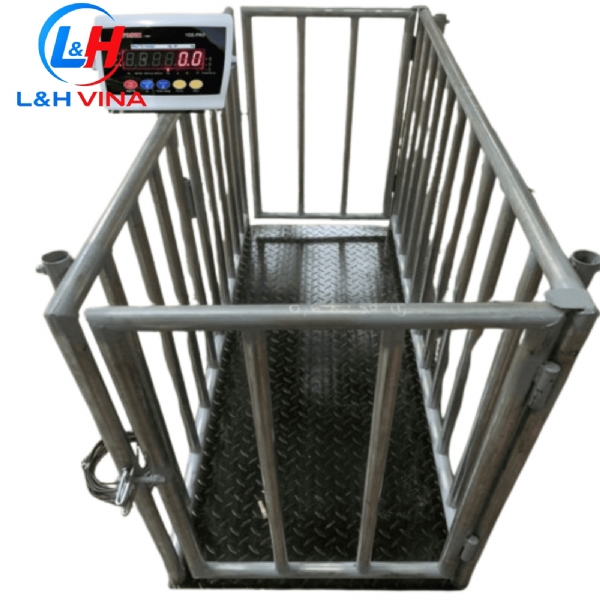 CÂN ĐIỆN TỬ CÂN HEO 1 CON