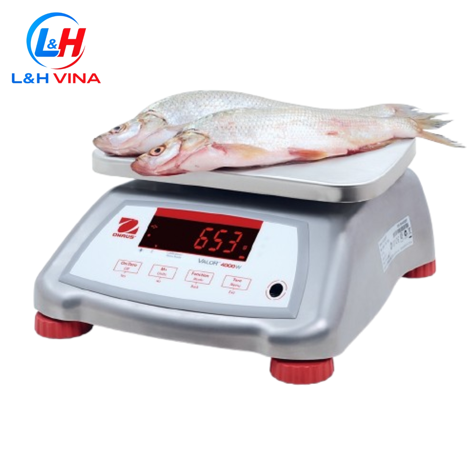 CÂN KỸ THUẬT V41PWE15T 