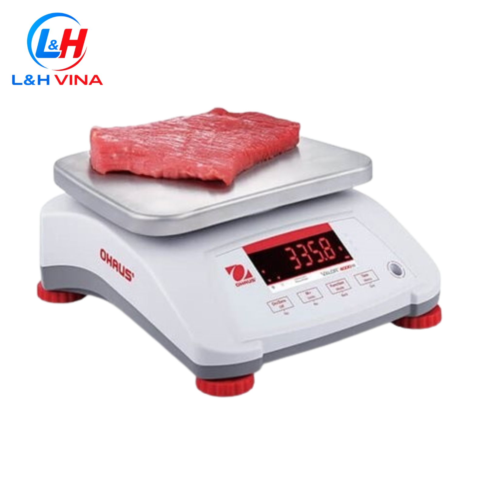 CÂN KỸ THUẬT V41PWE15T-M 