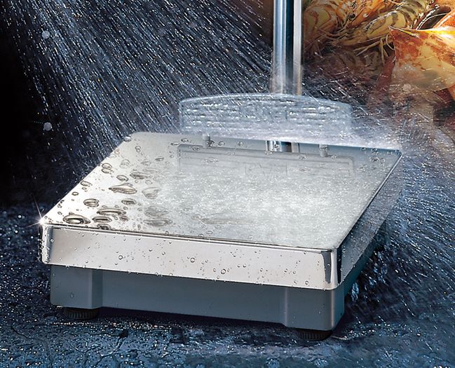 CÂN BÀN CHỐNG NƯỚC CAS BW-1N-150kg