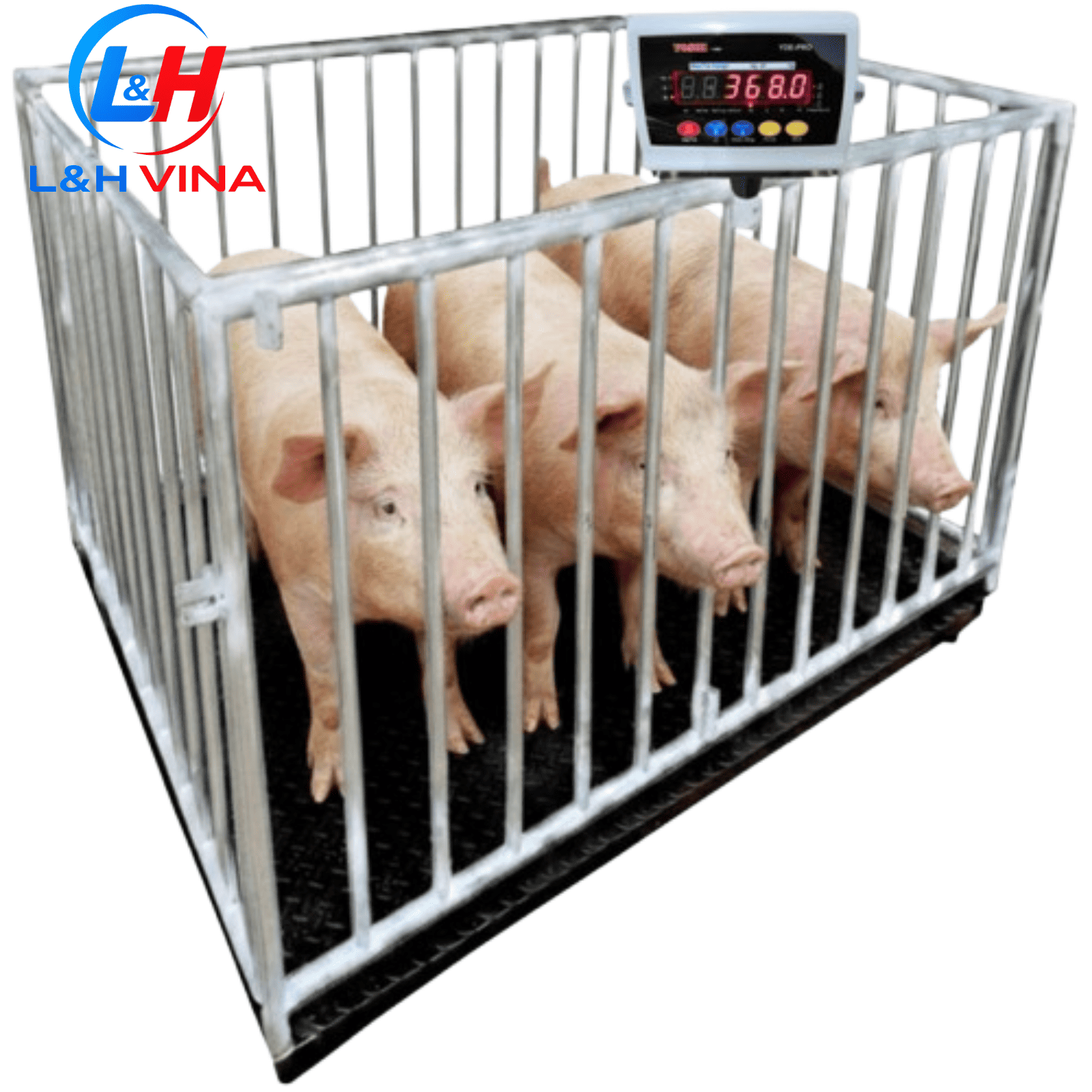 CÂN LỢN NHIỀU CON YDE-PRO