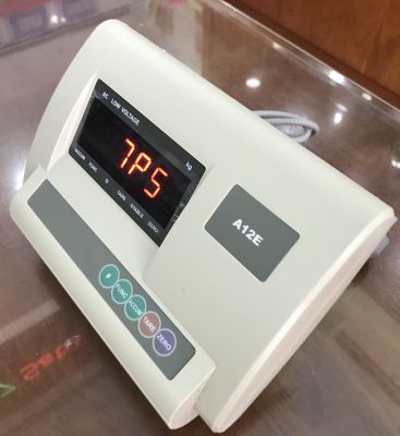 Đầu Cân Điện Tử A12