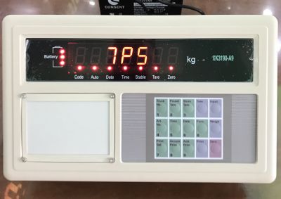 Đầu Cân Điện Tử A9