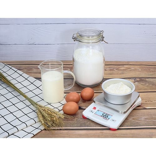 CÂN KỸ THUẬT CX2200 