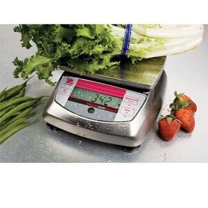 CÂN KỸ THUẬT V31XH2